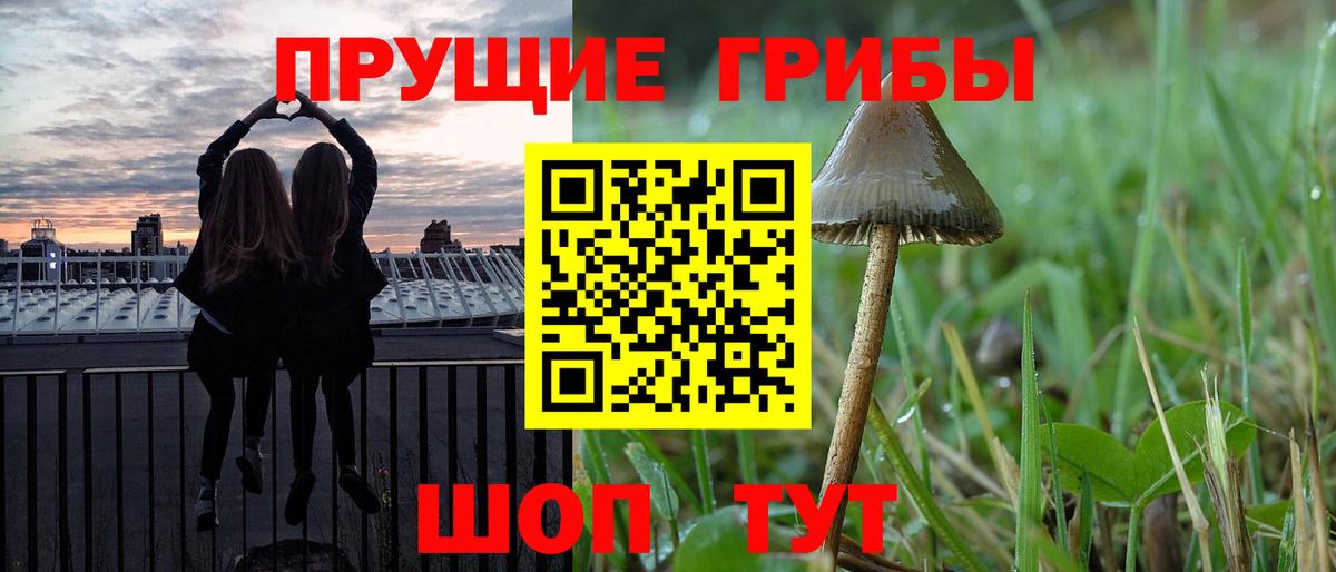 Дубна  Галлюциногенные грибы ЛСД  Вход с VPN 