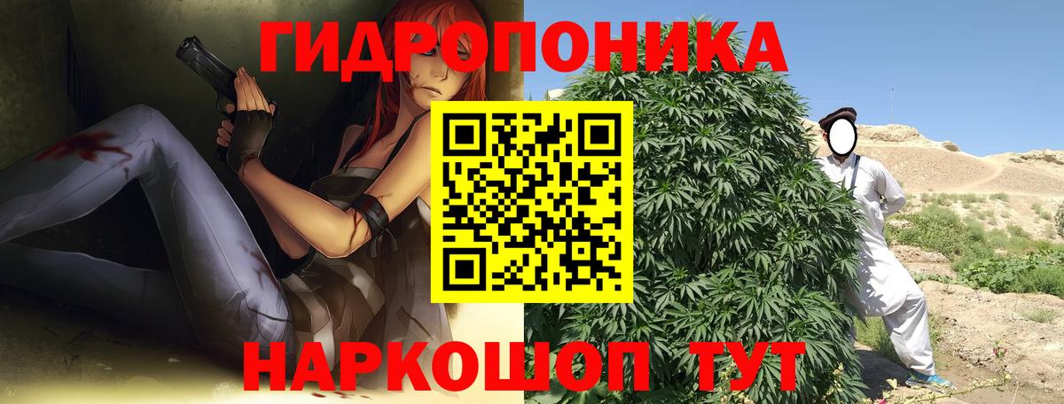 Конопля MAZAR Дубна